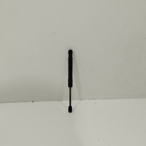 Amortecedor Capo Bmw 320i 2013 2014 2015 2016 2017 E217