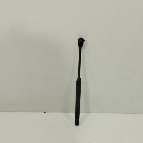 Amortecedor Tampa Traseira Renault Megane Li 2006 2013 E107