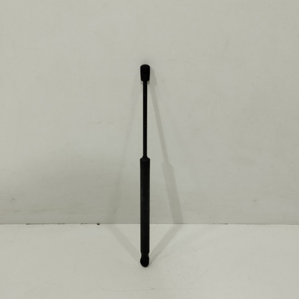 Amortecedor Tampa Traseira Renault Duster 2017 E97