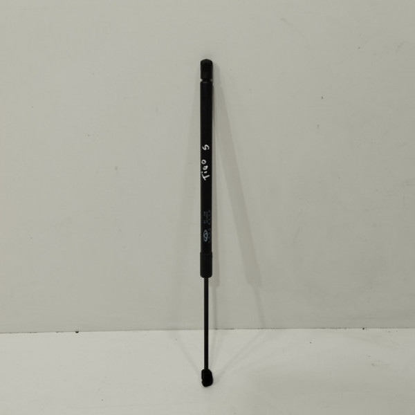 Amortecedor Tampa Traseira Chery Tiggo 5x 2019 2020 E16