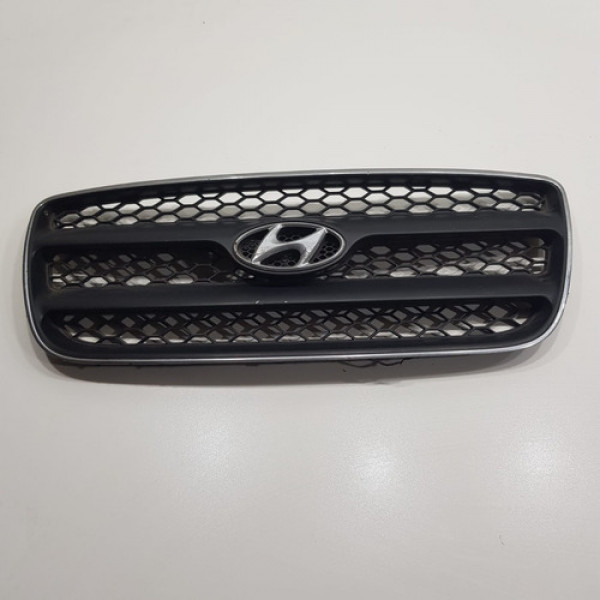 Grade Frontal Santa Fé 2007 A 2010 Com Detalhe  N424