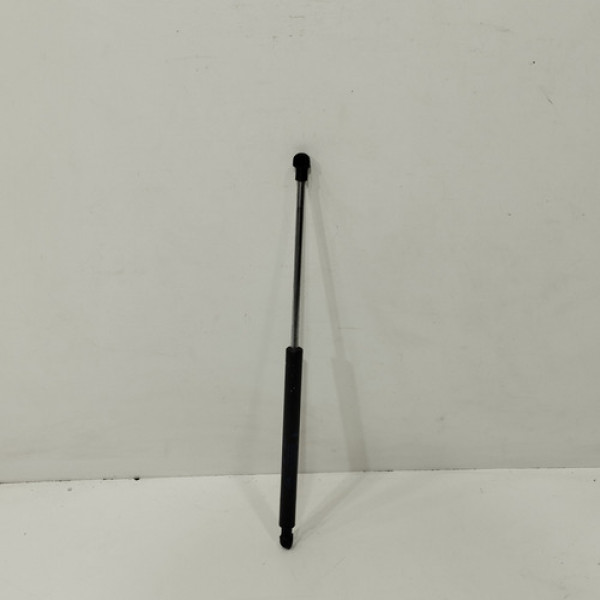 Amortecedor Tampa Traseira Renault Clio 2002 2010 E172