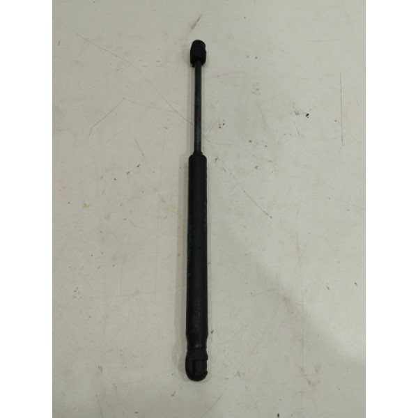 Amortecedor Tampa Traseira Megane 2006 A 2013 E194