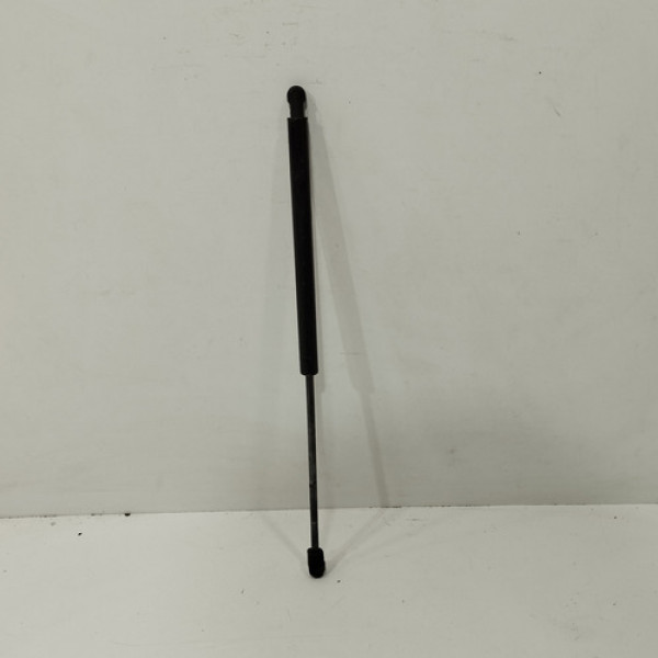 Amortecedor Tampa Traseira Fiat Palio 2004  2011 E197