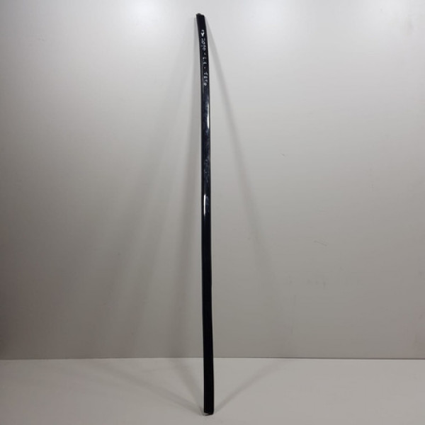 Friso De Teto Lado Esquerdo Audi A3 2010  N415