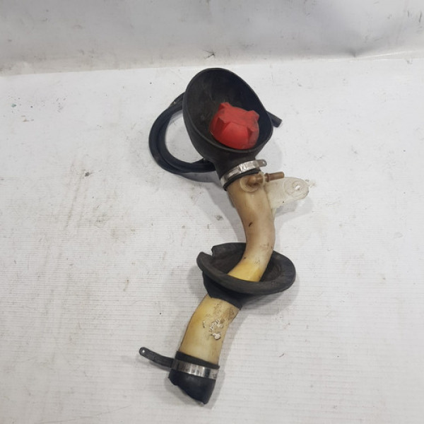 Reservatório Gasolina Partida Fria Clio 1.0 2013 2016  Ij333