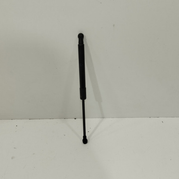 Amortecedor Capo Bmw X1 X6 2011 12 13 14 15 2016 E218