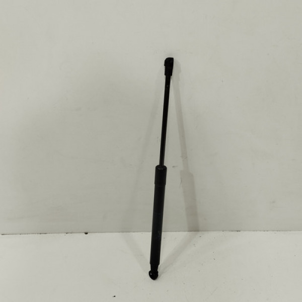 Amortecedor Capo Bmw 118 120i 320i 2008 09 10 11 2012 E80